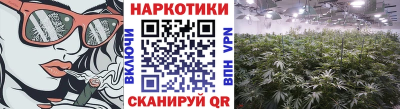 Продажа наркотиков Шахунья COCAIN A PVP Псилоцибиновые грибы Кодеин Меф мяу мяу