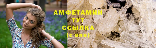 твердый Абаза
